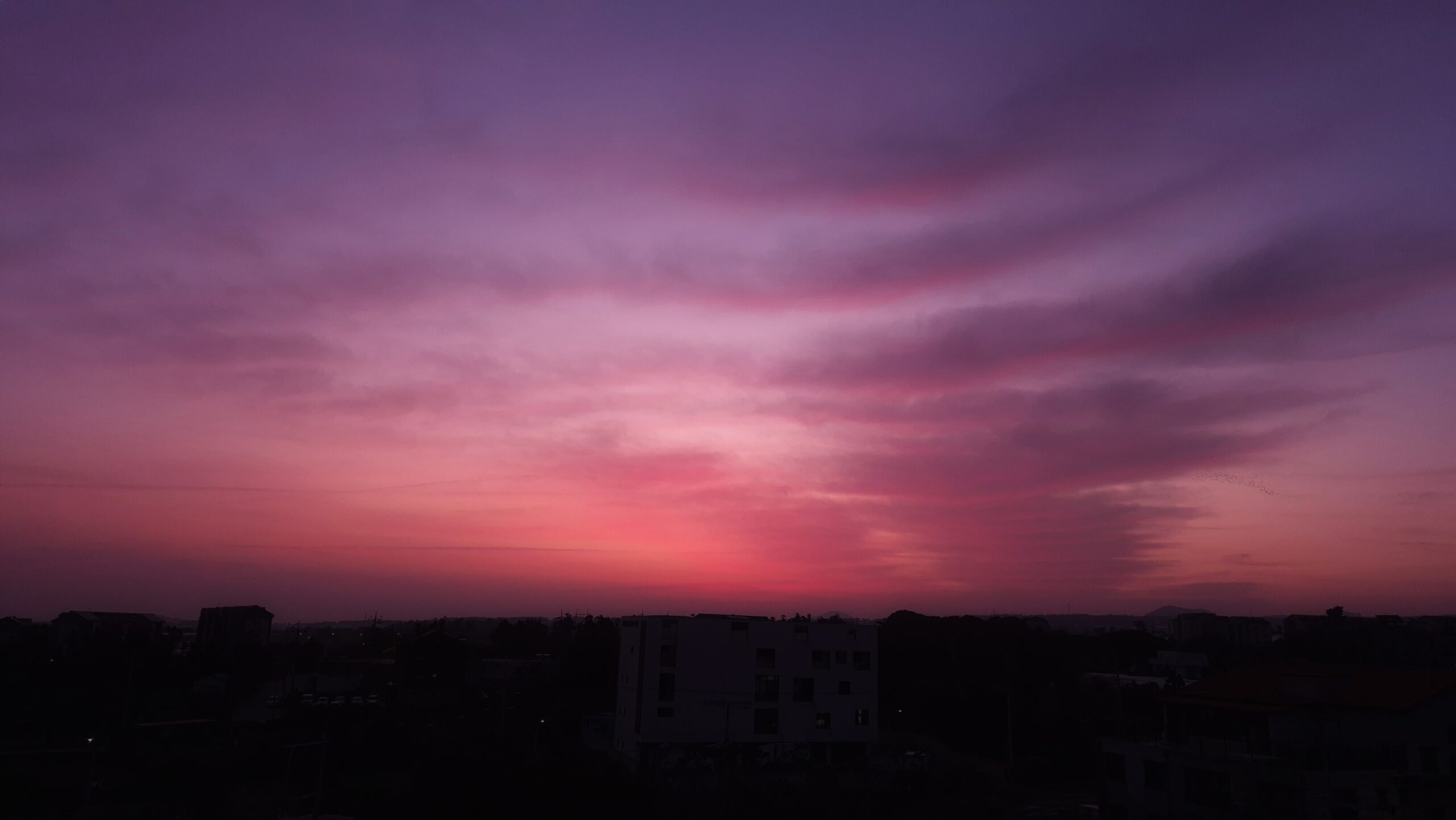 Morning Calm